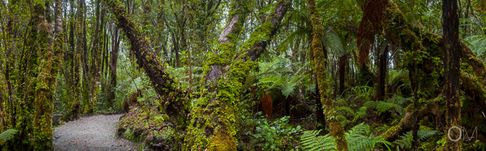 New Zealand