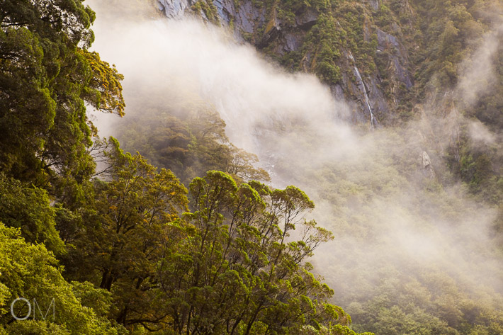 New Zealand