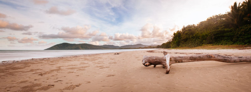 Cape Tribulation