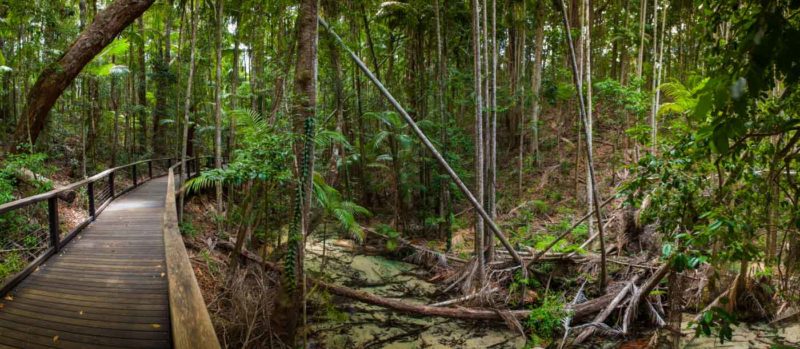 Fraser Island