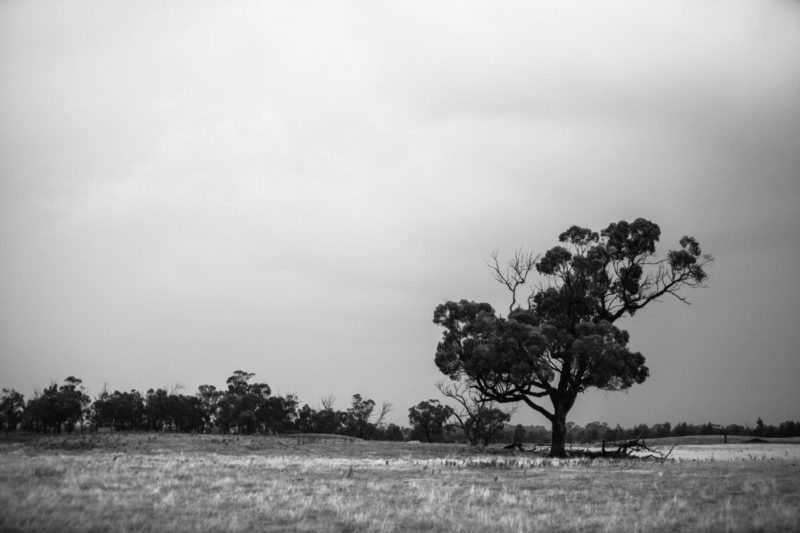 NSW countryside