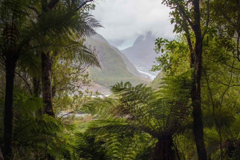 Fox Glacier