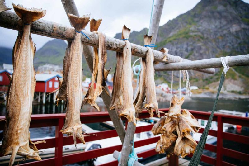 Assecat de peixos a Lofoten