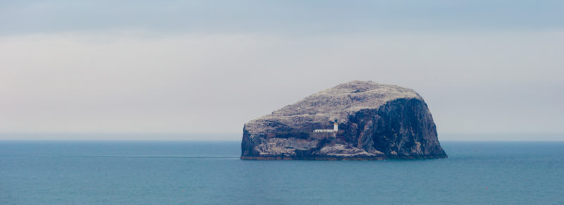 Isla de Bass Rock